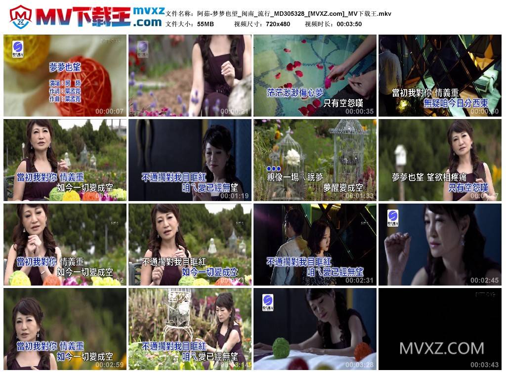 阿茹-梦梦也望_闽南_流行_MD305328